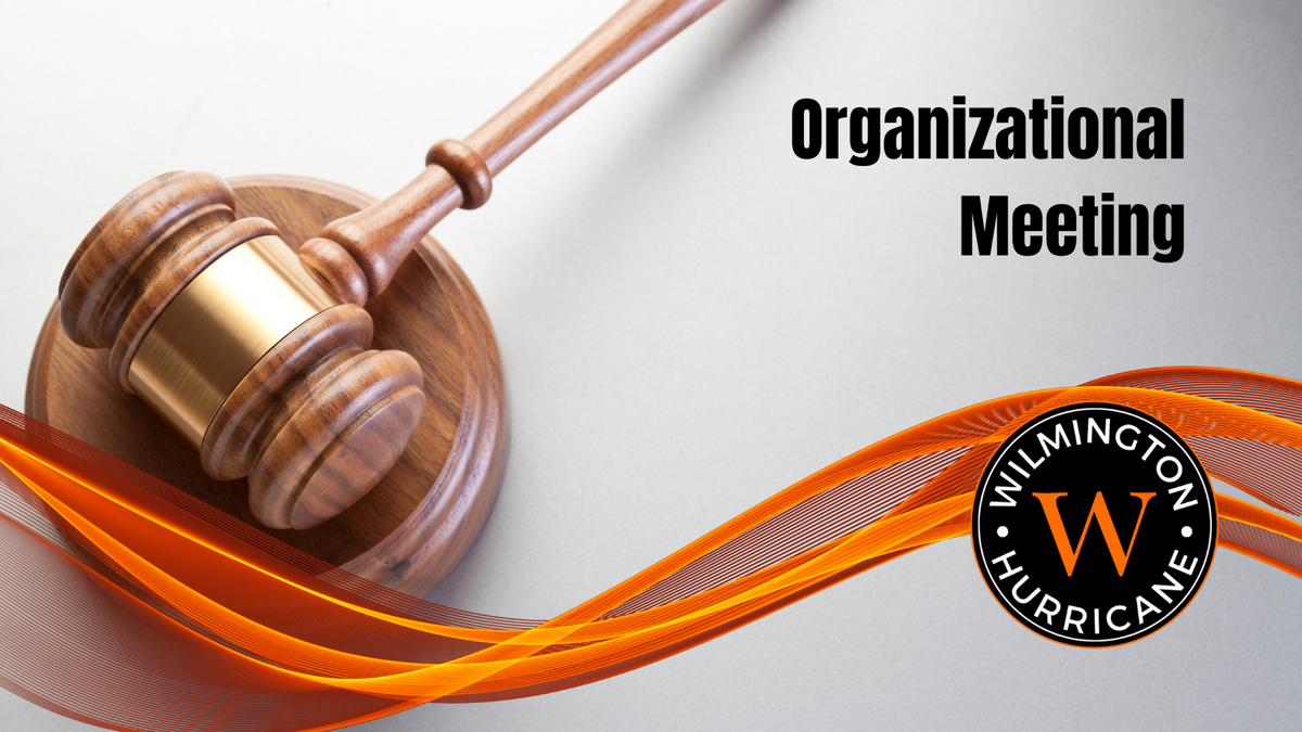 image of gavel and logo - Organizational Meeting